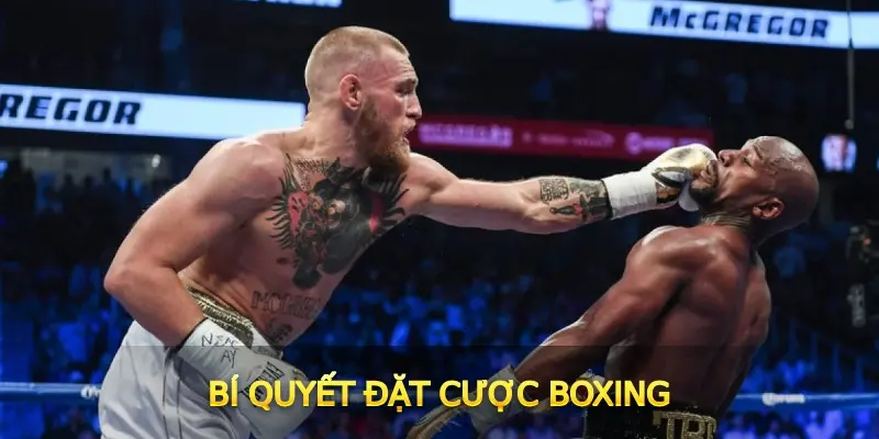 Bí quyết đặt cược Boxing