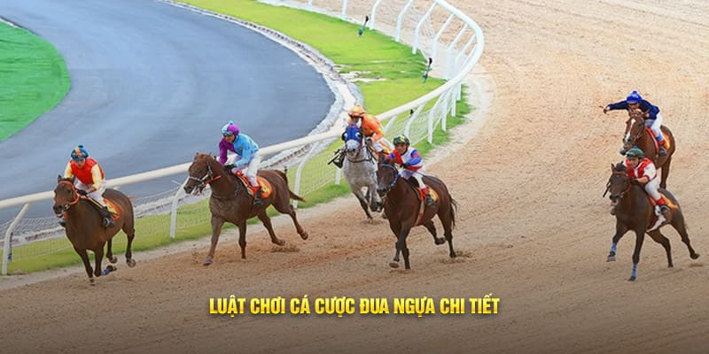 Luật chơi cá cược đua ngựa chi tiết