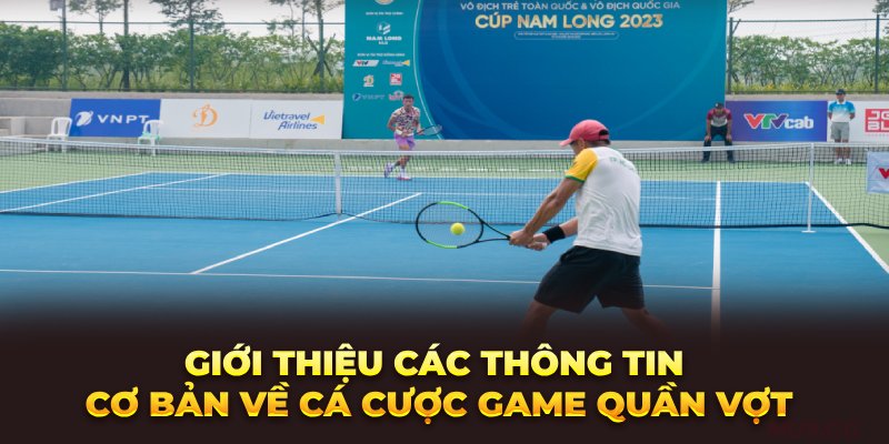 gioi-thieu-cac-thong-tin-co-ban-ve-ca-cuoc-game-quan-vot