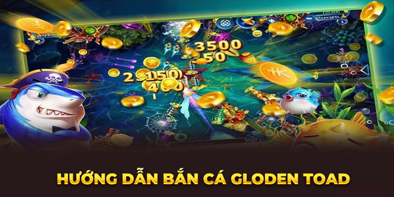 huong-dan-ban-ca-gloden-toad